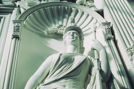 Ambrosia artemisiifolia (Common ragweed)