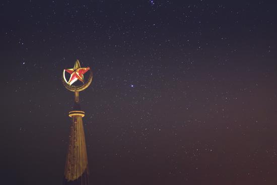 Stellaria Media (Common chickweed)